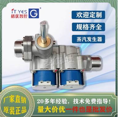 蒸汽机蒸柜蒸汽发生器炉双电磁阀配件炒灶电磁阀24V4分6分大流量